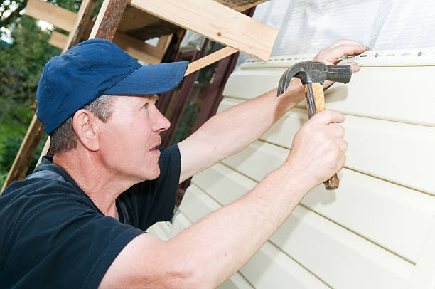 Best Siding Painting and Refinishing  in Satsuma, AL