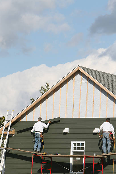 Best Residential Vinyl Siding Installation  in Satsuma, AL